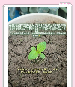 养殖场直联直报，提高数据效率，规范行业管理