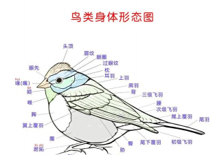 养殖场直联直报，提高数据效率，规范行业管理