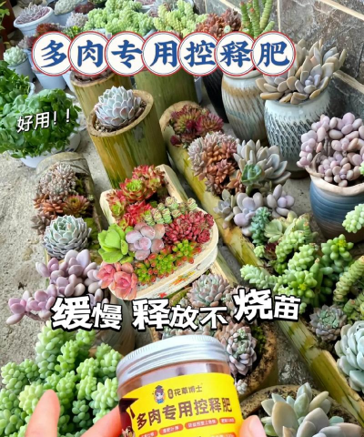 养殖场直联直报，提高数据效率，规范行业管理