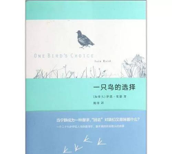 牛粪养花的正确方法，避免烧根，提升肥效