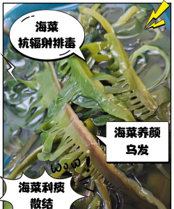 牛粪养花的正确方法，避免烧根，提升肥效