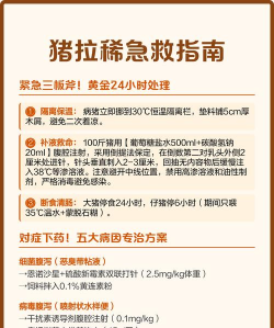 牛粪养花的正确方法，避免烧根，提升肥效