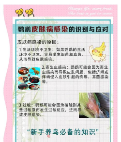 养花知识大全，新手入门指南，轻松养好花草