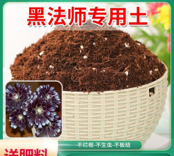 养花知识大全，新手入门指南，轻松养好花草