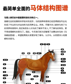 养花知识大全，新手入门指南，轻松养好花草