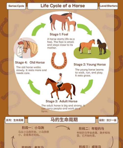 养花记录，分享日常养护，留下成长印记