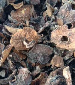 小众送妈妈的花有哪些花