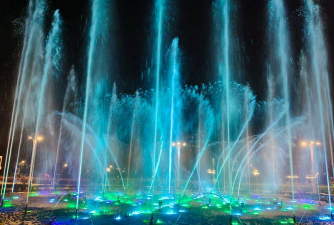 小众送妈妈的花有哪些花