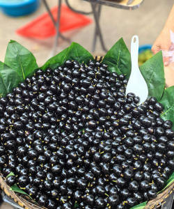 小众送妈妈的花有哪些花