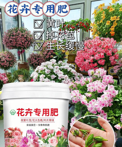 小众送妈妈的花有哪些花