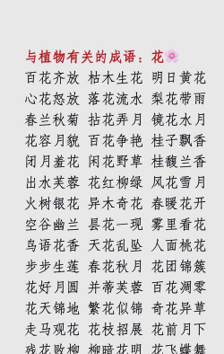 小众送妈妈的花有哪些花