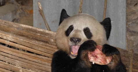 小众送妈妈的花有哪些花