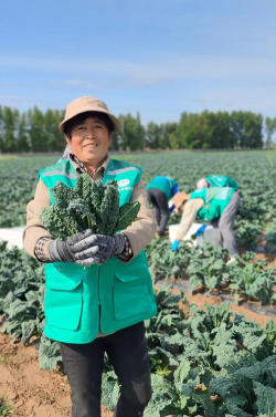 小众送妈妈的花有哪些花