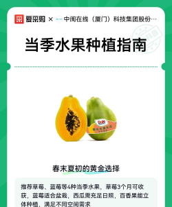 用水果怎么种植 用水果怎么种植