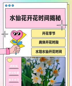 还有哪些花什么时间开 还有哪些花什么时间开