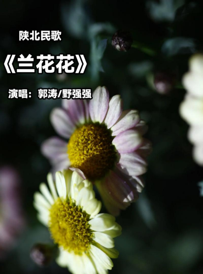 唱花歌有哪些 唱花歌有哪些