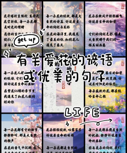 关于花有哪些谚语 关于花有哪些谚语