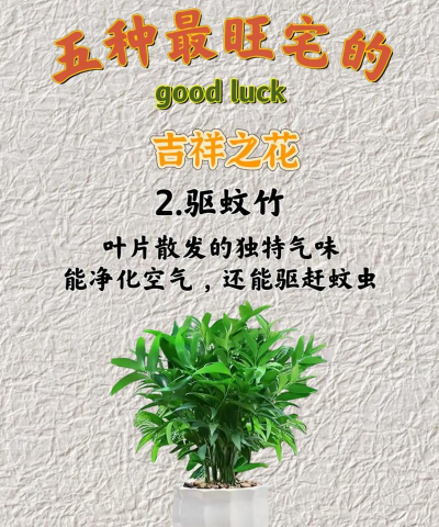 家门口种什么花草吉利 家门口种什么花草吉利