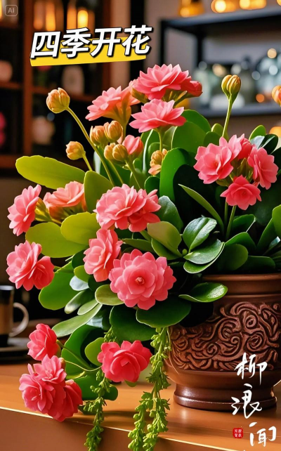 适合年底养的花有哪些花 适合年底养的花有哪些花