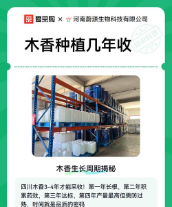 木香怎么切块种植 木香怎么切块种植