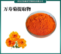 菊花叶发黄用什么药好 菊花叶发黄用什么药好