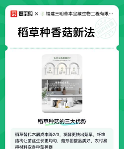 稻草蘑菇怎么种植 稻草蘑菇怎么种植