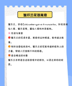 蟹爪兰开花有什么意义 蟹爪兰开花有什么意义