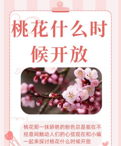 桃花什么时候开哪个月 桃花什么时候开哪个月