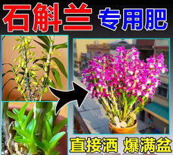 不开花植物用什么肥料好 不开花植物用什么肥料好
