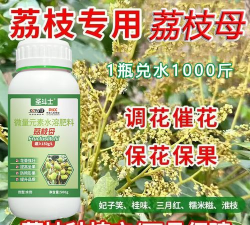 荔枝花前促花剂有哪些 荔枝花前促花剂有哪些