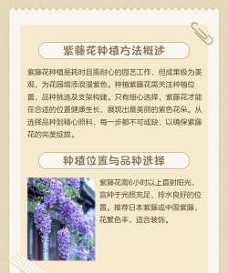 紫藤花什么时间播种最佳 紫藤花什么时间播种最佳