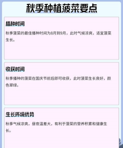 几月菠菜怎么种植 几月菠菜怎么种植