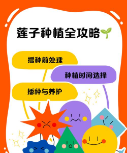 莲子怎么种植啊 莲子怎么种植啊