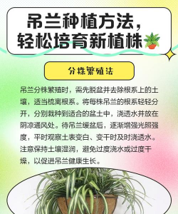 新植物怎么种植 新植物怎么种植