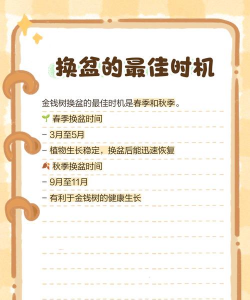 植物换盆在什么季节最好 植物换盆在什么季节最好