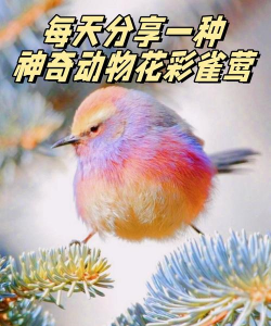 有花的动物名字有哪些 有花的动物名字有哪些