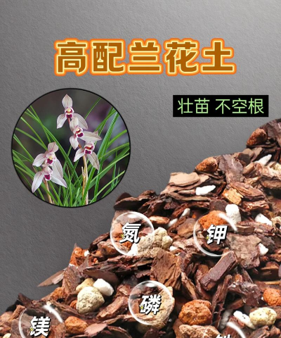 春兰用什么土比较好 春兰用什么土比较好