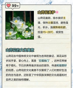 有花有山的句子有哪些 有花有山的句子有哪些