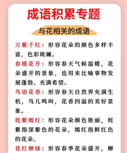 有伞有花成语有哪些词语 有伞有花成语有哪些词语