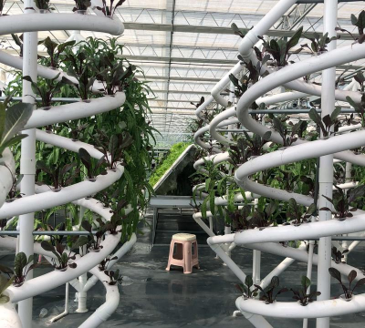 温室怎么种植物 温室怎么种植物