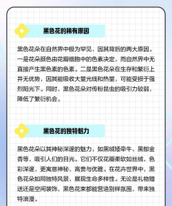 有黑色果实的花有哪些 有黑色果实的花有哪些