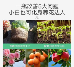 栀子花冬天用什么肥 栀子花冬天用什么肥