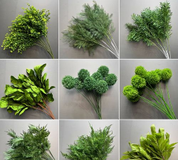 绿色花艺花材有哪些品种 绿色花艺花材有哪些品种