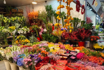 适合摆夜市的花有哪些花 适合摆夜市的花有哪些花