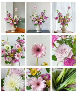 不包花泥的花有哪些 不包花泥的花有哪些