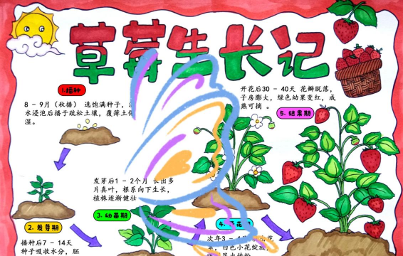 草霉什么时间种植 草霉什么时间种植