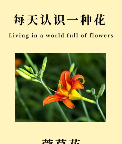 象征母爱之花的花有哪些 象征母爱之花的花有哪些