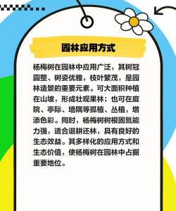 山地杨梅怎么种植 山地杨梅怎么种植
