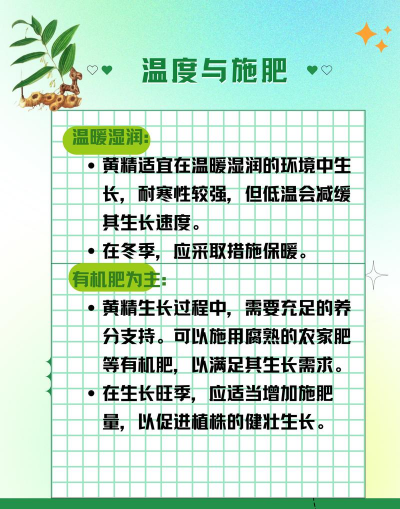 盆栽黄精怎么种植 盆栽黄精怎么种植