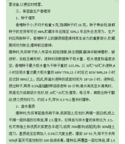 香椿应该怎么种植 香椿应该怎么种植